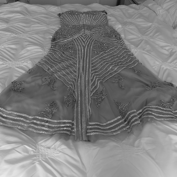 Mother Of The Bride Exquisite silver gown. - Picture 9 of 16